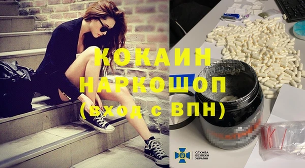 шишки Краснослободск