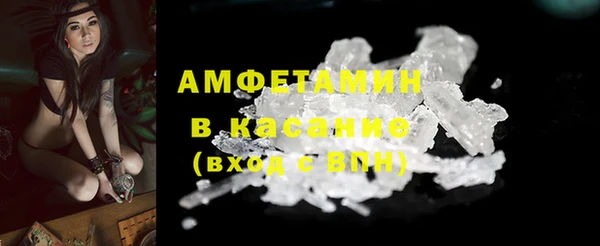 шишки Краснослободск