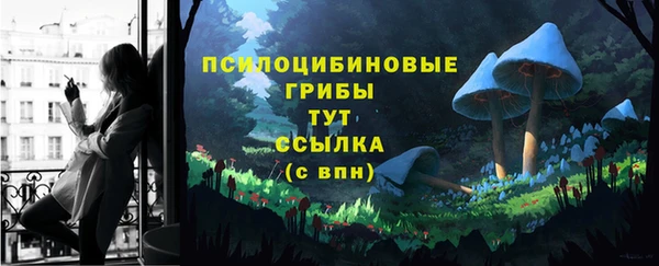 шишки Краснослободск