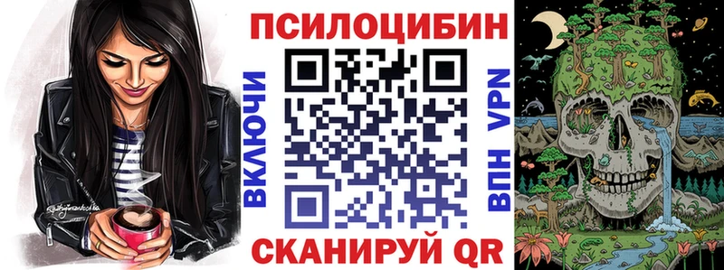 Купить закладки  Дедовск  Псилоцибиновые грибы мухоморы 